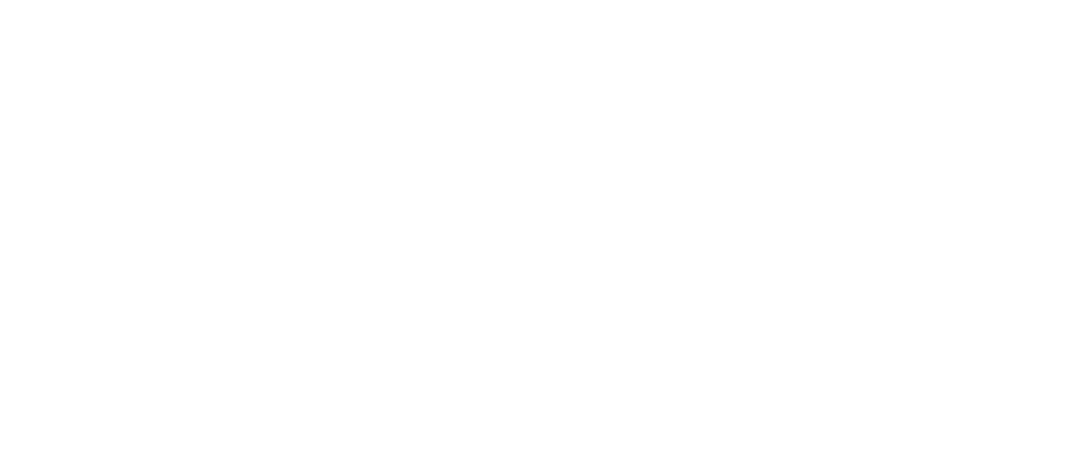 Ligconcert Einaudi ft Zimmer