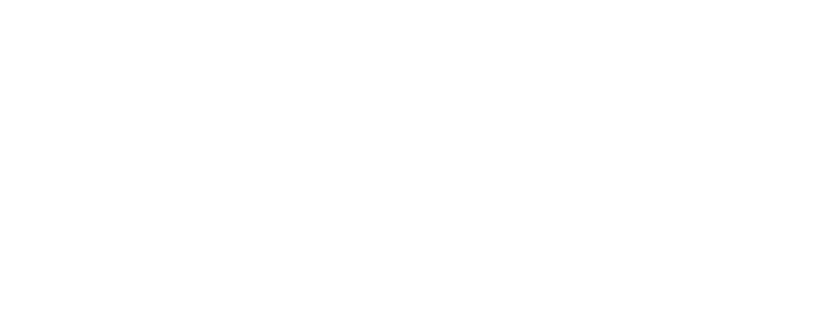 Ligconcert Einaudi ft Zimmer