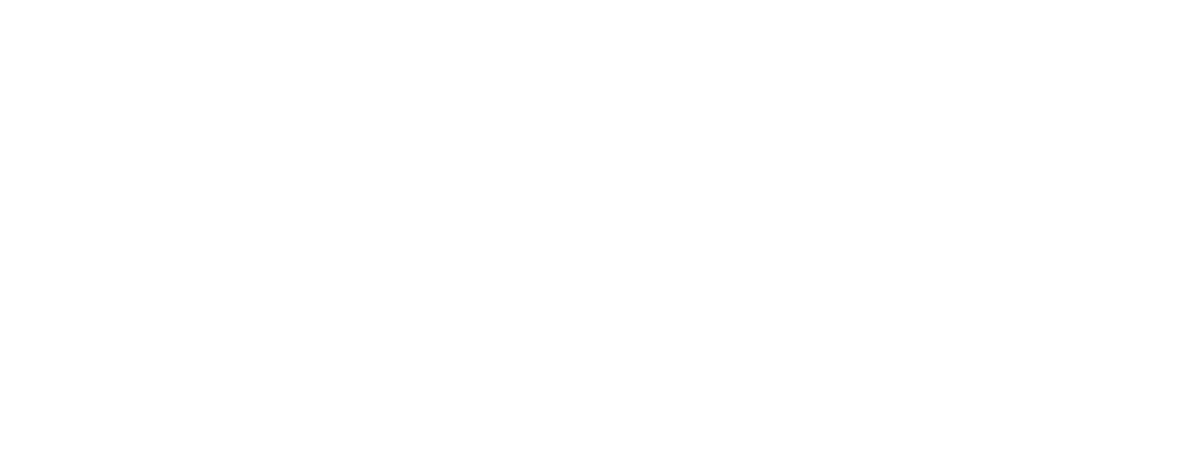 Ligconcert Zimmer & Beyond