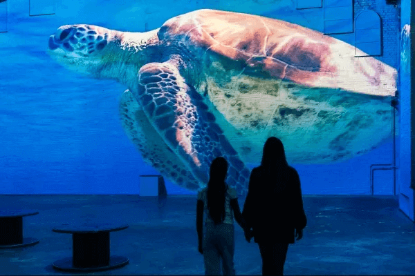 Ligconcert Fabrique des Lumières