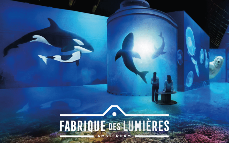 Ligconcert in Fabrique des Lumieres