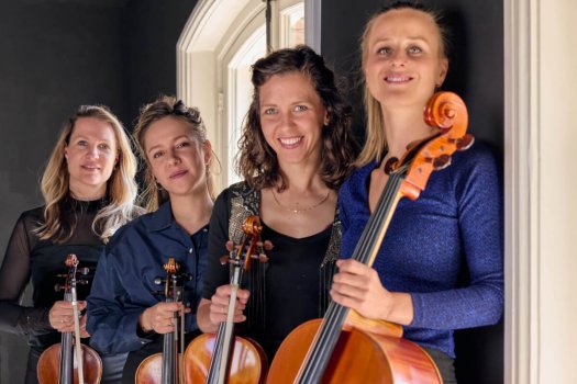 Ligconcert Strijkkwartet